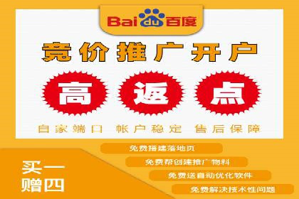 百度SEM广告策略在电商行业的成功案例